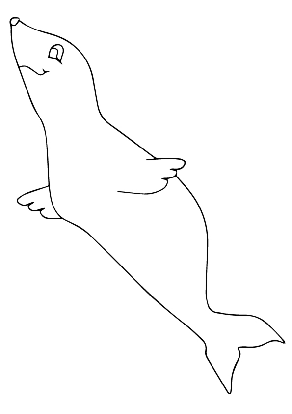 Plansa de colorat cu Foca 12 4